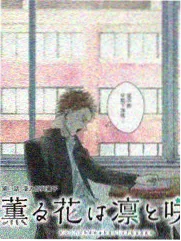 银魂3年Z班银八老师特别篇封面